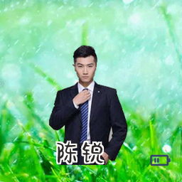 陈锐